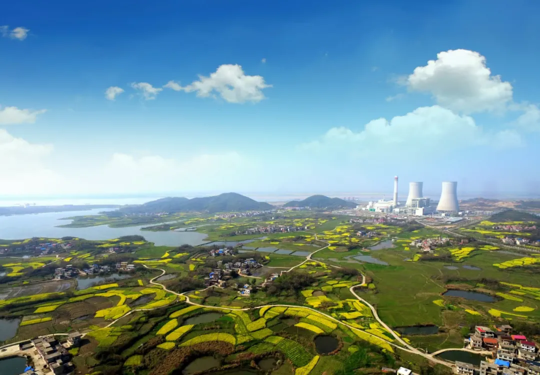 電廠全景