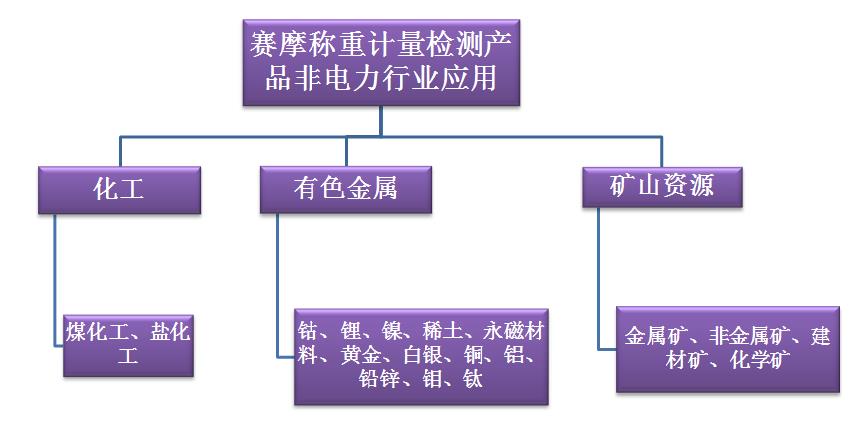賽摩稱重計量檢測應用